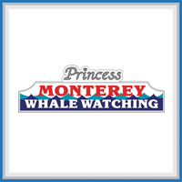 Princes_Whale_Watching